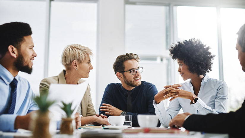 Diverse Team Meeting